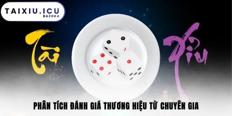 Phân tích đánh giá thương hiệu từ chuyên gia